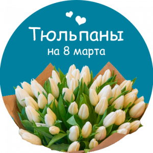 Купить тюльпаны в Ярославле